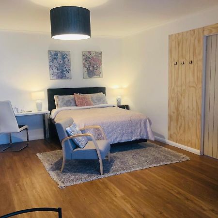 Lux Studio In Dunedin Central Luaran gambar